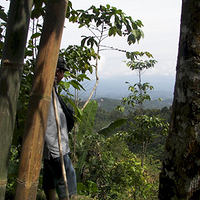 Photo de Bali - Autour de Munduk